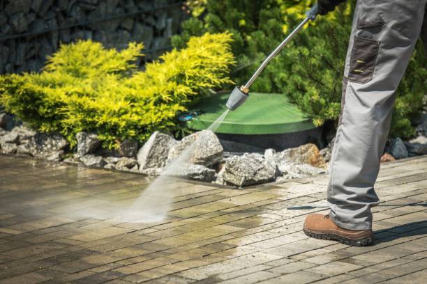 Best Pool Deck Cleaning  in Ferndale, MD